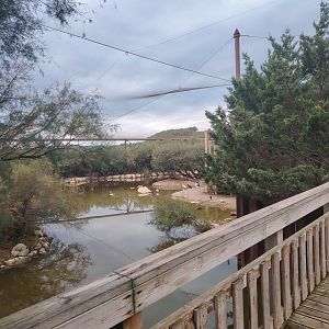 African Aviary (specie list in comment)