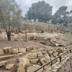 Barbary Sheep Mountain