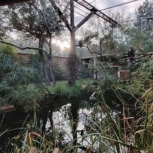 Small African Aviary (specie list in comment)