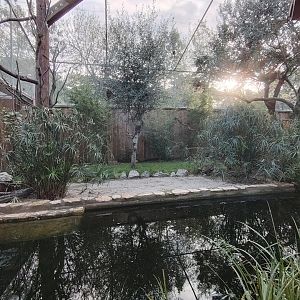 Small African Aviary (specie list in comment)