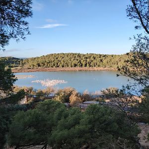 Flamingos & Pelican Lake
