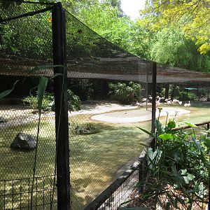 Marsh Habitat (Flamingo/Waterfowl Aviary)