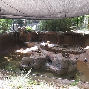 Renovated Grotto for Waterfowl