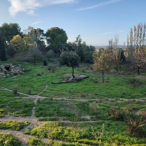 South african Cheetah Exhibit