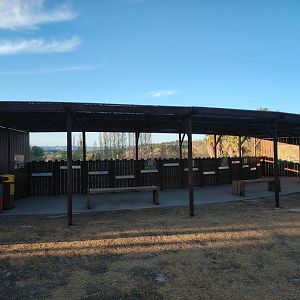 South african Cheetah Exhibit