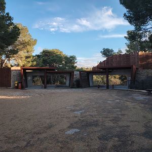 African Wild Dog Exhibit