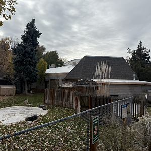 Reptile Yard - Small Animal Building