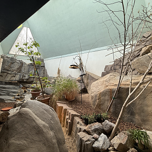 Sonoran Desert Habitat - Desert Zone - Small Animal Building