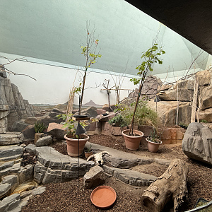 Sonoran Desert Habitat - Desert Zone - Small Animal Building