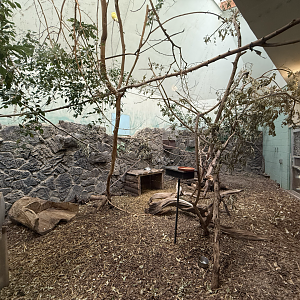 Aviary - Tropics Zone - Small Animal Building