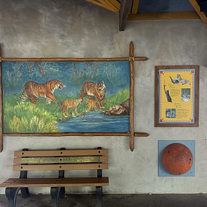 Display - Asian Highlands