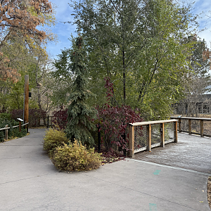 Boardwalk - Creekside