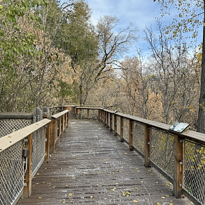 Boardwalk - Creekside