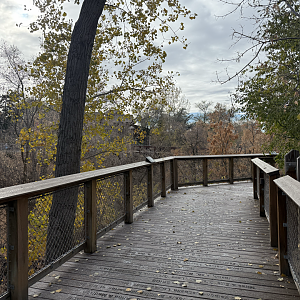 Boardwalk - Creekside