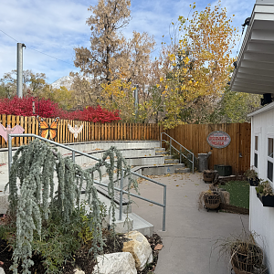 Wyatt Fricks Discovery Theatre - Creekside