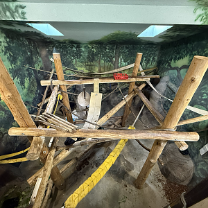 Third Indoor Habitat - Primate Forest