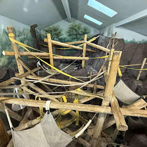 Second Indoor Habitat - Primate Forest