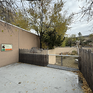 Orangutan Outdoor Viewing - Great Apes