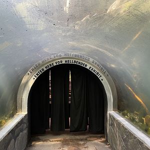 09/13/23 - Entrance to Hellbender exhibit