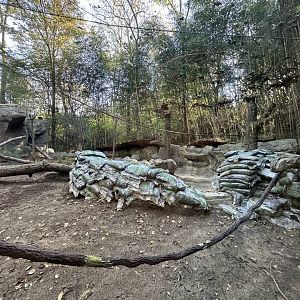 New Jungle Trails Habitat Construction