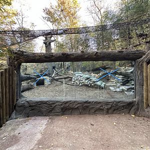 New Jungle Trails Habitat Construction