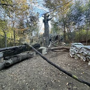 New Jungle Trails Habitat Construction