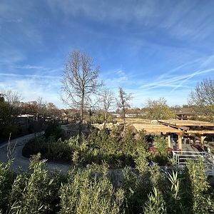 View of Elephant Trek from Zen Garden
