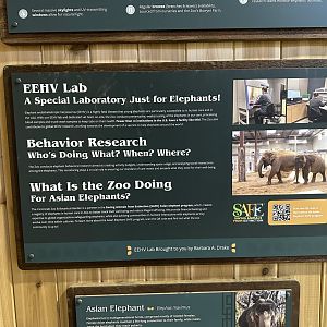 Elephant Trek Signage