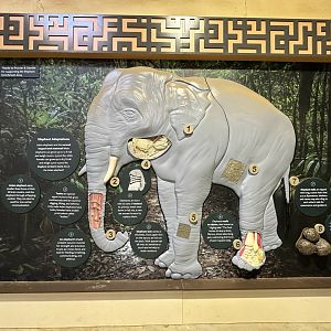 Elephant Trek Signage