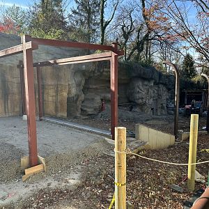 Bear Ridge Construction