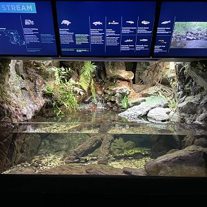 09/13/23 - Allegheny Stream Tank