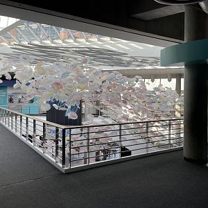 09/13/23 - Pier 4 Jellyfish Artwork