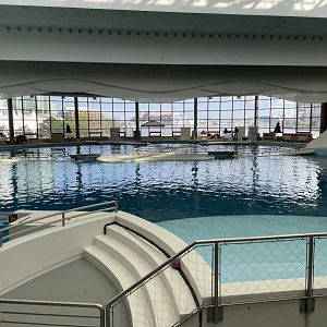 09/13/23 - Dolphin Enclosure