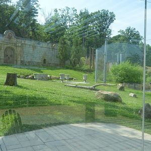 African Adventure - Spotted Hyena (Crocuta crocuta) Exhibit