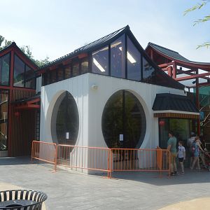 Amazing Asia - Red Panda and Clouded Leopard Building