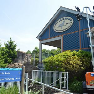 Sea Lion Sound - Scenery and Landscaping