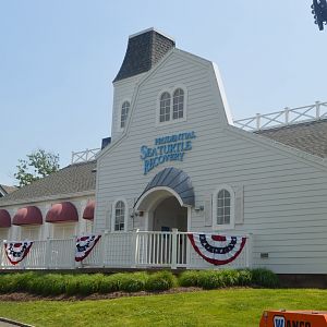 Sea Turtle Recovery - Exterior