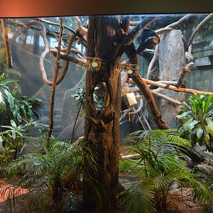 Reptile House - South America Exhibit