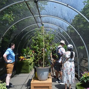 Butterfly Garden - Overview