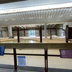 09/14/23 - Elephant Community Center