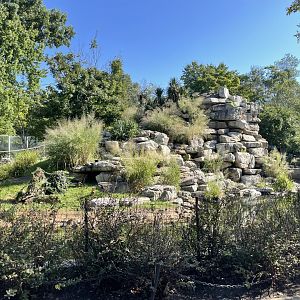 09/14/23 - Lemur Island