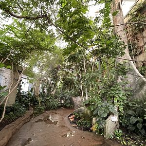 09/14/23 - Amazonia Upper Level