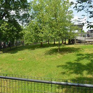 Australian Outbreak - Kangaroo and Wallaby Exhibit