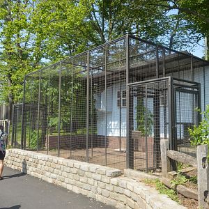 Amazing Asia - Empty Cage