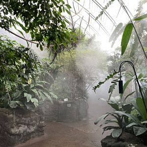 09/14/23 - Amazonia upper level being misted