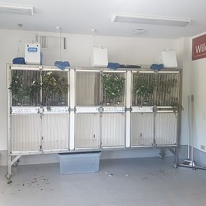 Wellington Zoo | Wildlife Ward