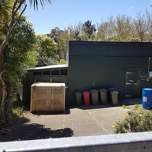 Wellington Zoo | Nyala (Previously Cheetah) Backstage