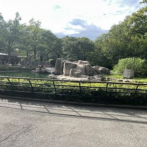 09/17/23 - Sea Lion Pool