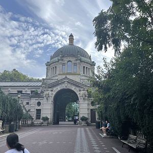 09/17/23 - Komodo Dragon Building