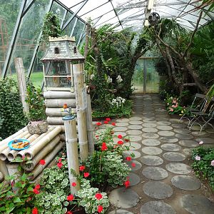 Helsingborg Djurpark - Butterfly house